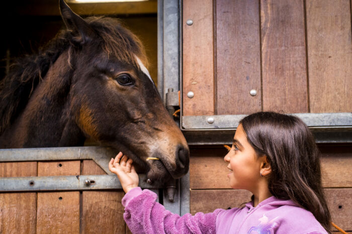 pleegmeisje met paard